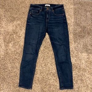 Loft Medium Wash Jeans Size 6 Petite